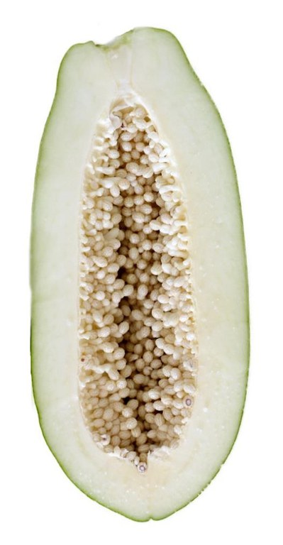Green papaya[formosa]open.jpg