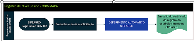 Fluxos das solicitações de registro por nível - Básico.png