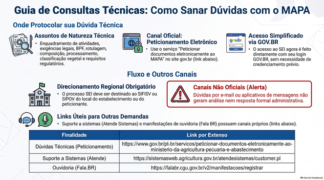 Guia_de_Consultas_Técnicas_MAPA (2).png