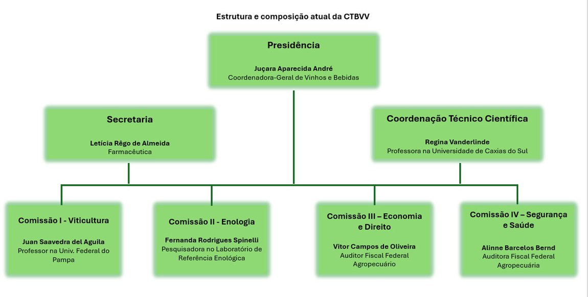 Estrutura CTBVV