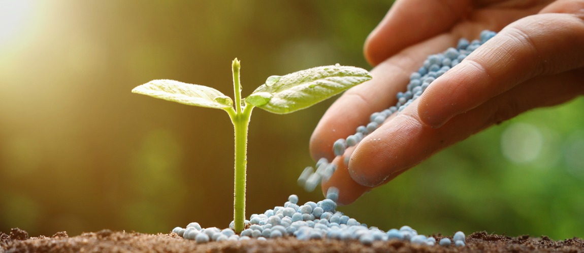 Plano Nacional de Fertilizantes