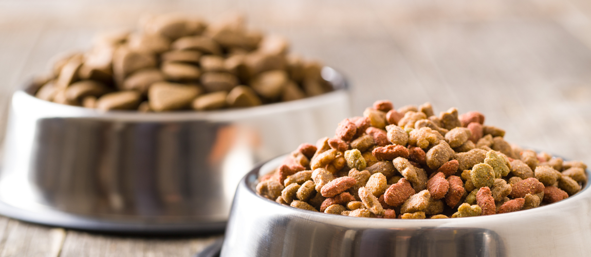 Relatório Produção Animal