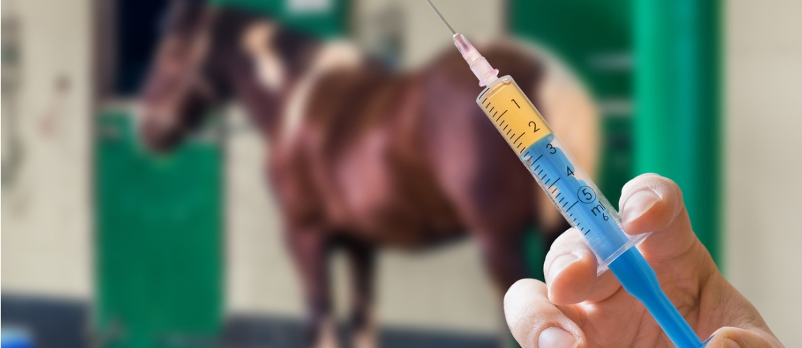 Conjunto de medidas de monitoramento dos eventos adversos que decorrem do emprego de produtos de uso veterinário.