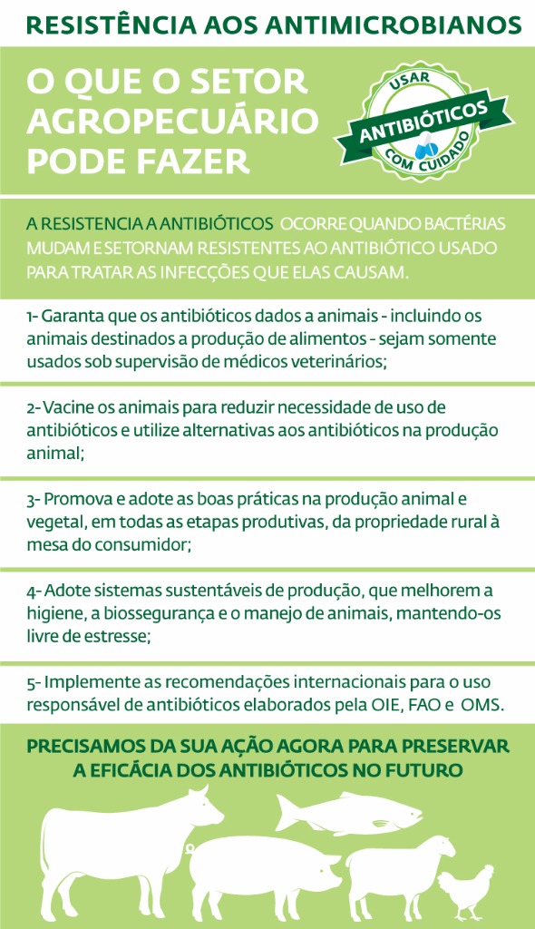Infográfico - Agropecuária