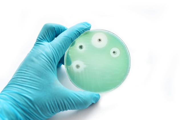 resistencia aos antimicrobianos.jpg