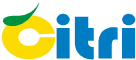 5.png