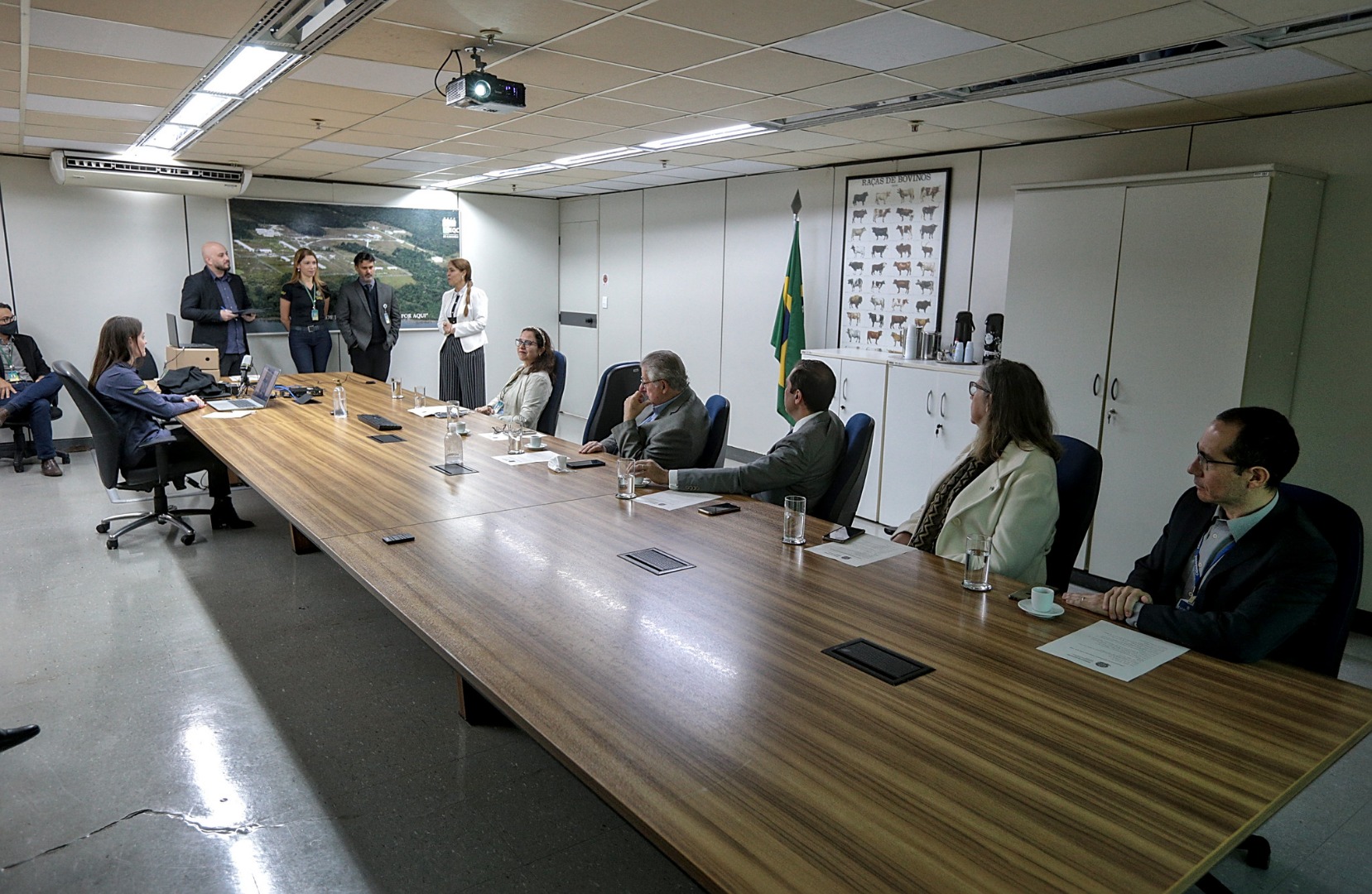 lanç mapa estrategico.jpg