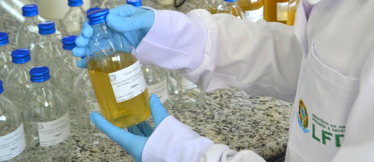 Prof cachaça LFDA.jpeg