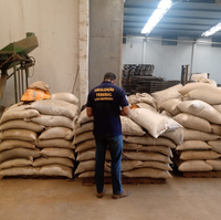 Força-tarefa suspende comercialização de 15 toneladas de sementes em São Paulo