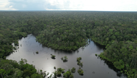 Gleba Castanho é a primeira área não-destinada a entrar em processo de concessão florestal
