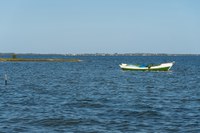 Período de defeso de camarões na Lagoa de Araruama (RJ) é alterado