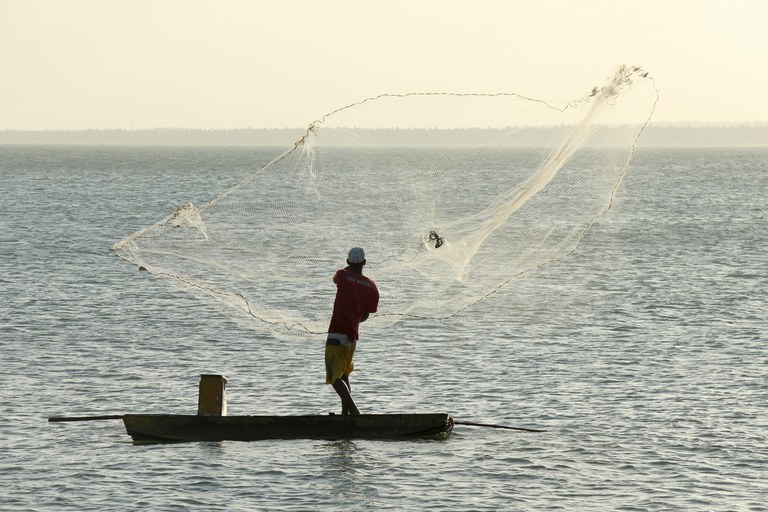 Projeto que proíbe pesca profissional é defendido também para