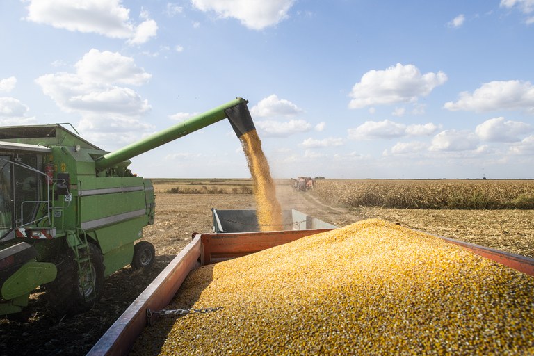 Brasil deve alcançar recorde na safra de grãos 2021/22 com mais de 271  milhões de toneladas - Revista Cultivar