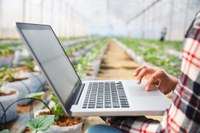 Transformação digital no agro será assunto de Câmara Temática do Mapa