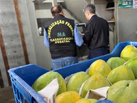 A partir de janeiro, Ceagesp vai exigir entrada de alimentos com rastreabilidade definida em norma do Mapa