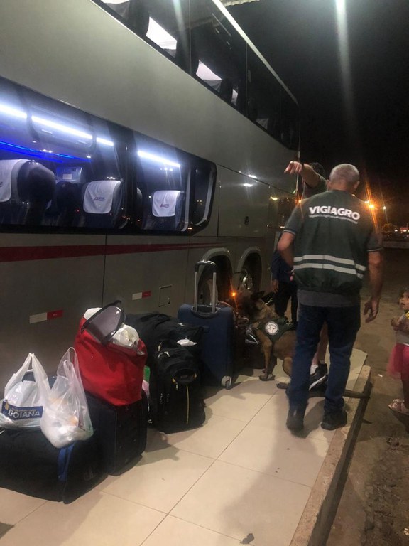 Ação fiscalização Boa Vista (1).jpeg