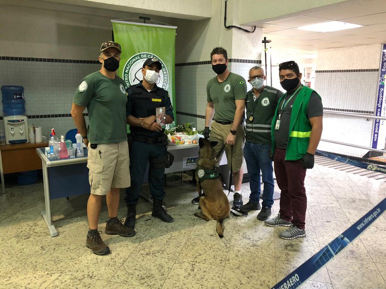 Ação fiscalização Boa Vista (3).jpeg