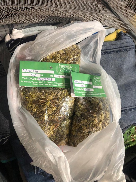 Ação fiscalização Boa Vista (4).jpeg