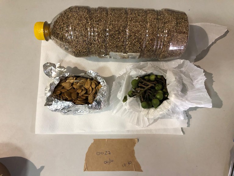 Ação fiscalização Boa Vista (5).jpeg