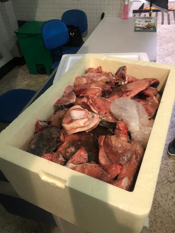 Ação fiscalização Boa Vista (7).jpeg