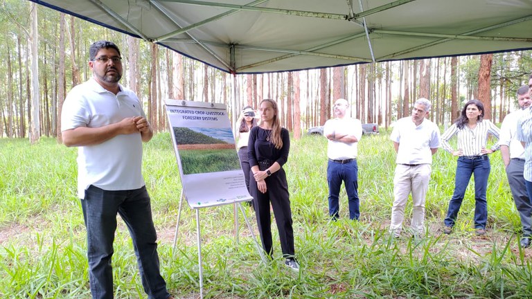 adidos_embrapa_juliana_caldas (1).jpeg