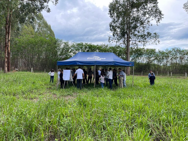 adidos_embrapa_sergio_abud (4).jpeg