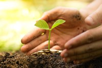 Agricultores receberam R$ 5,4 bilhões em indenizações de seguro rural em 2021