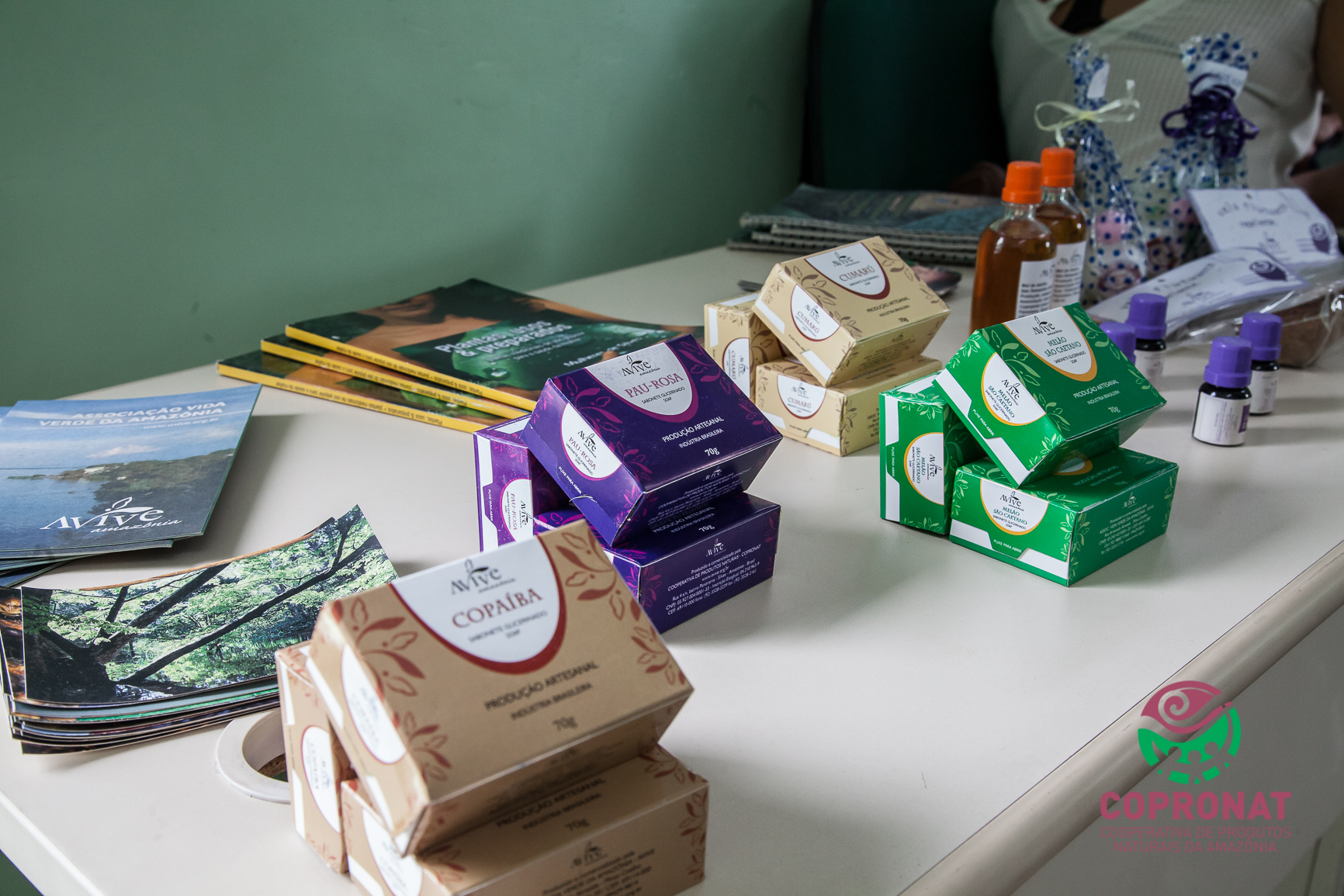 extrativismo amazonia.JPG