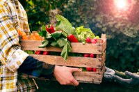 Alimentos da merenda escolar poderão ser distribuídos diretamente para famílias de alunos da rede pública