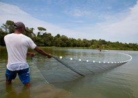 Aquicultura brasileira cresce 123% em dez anos