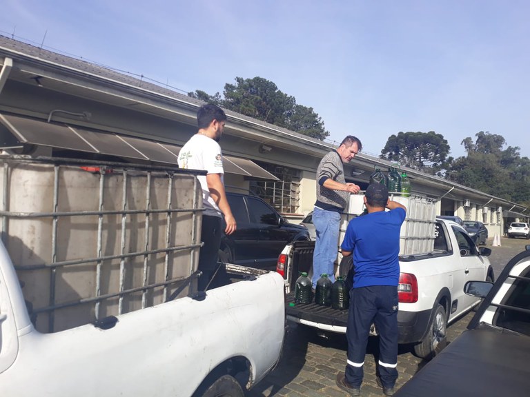 Foto 3. Coleta do azeite de oliva para doação.jpeg