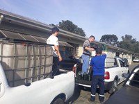 Azeite de oliva fraudado apreendido pelo Mapa é doado para uso como biocombustível