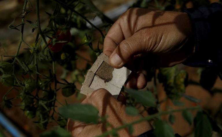 Bioinsumos utilizado na Fazenda Malunga