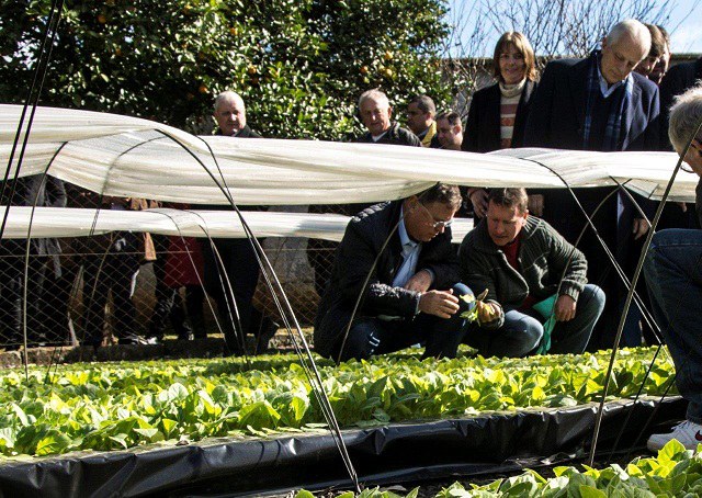 blairo fumo santa cruz do sul 2.jpg