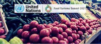 Brasil discute proposta que levará à Cúpula dos Sistemas Alimentares