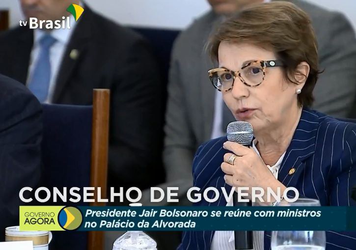 conselho de governo1.jpg