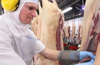 Brasil retoma exportações de cortes suínos para a África do Sul