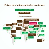 Brasil terá 12 novos adidos agrícolas junto às representações diplomáticas no exterior