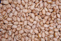 Cai alíquota de importação de feijão a pedido do Mapa