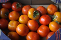 Caqui rama forte, o produto da semana na Ceagesp