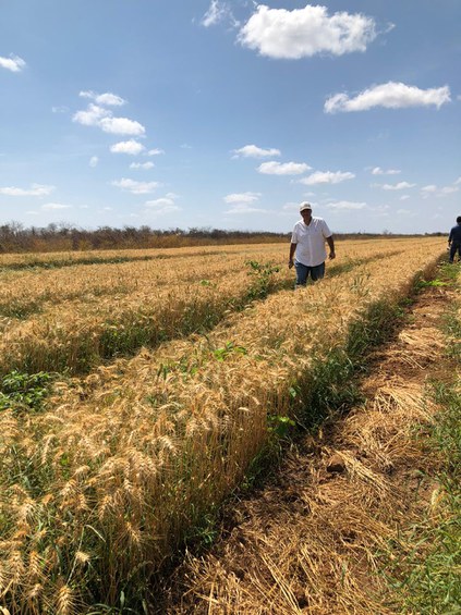 WhatsApp Image 2020-09-11 at 18.18.50.jpeg