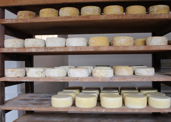 Foto: Juliana Carneiro