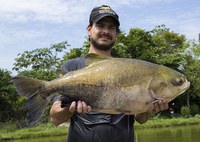 Cientistas sequenciam genoma de peixes brasileiros