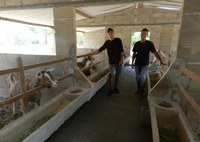 Com AgroNordeste, jovens voltam para campo e passam a criar caprinos na Paraíba