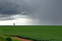 Com La Niña mais fraca, prevê-se chuvas contínuas no Sudeste e Centro-Oeste