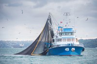 Começa o treinamento para certificação de barcos e atracadouros