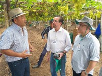 Comitiva do Mapa conhece polo de fruticultura irrigada e trabalhos da Embrapa no Vale do Rio São Francisco