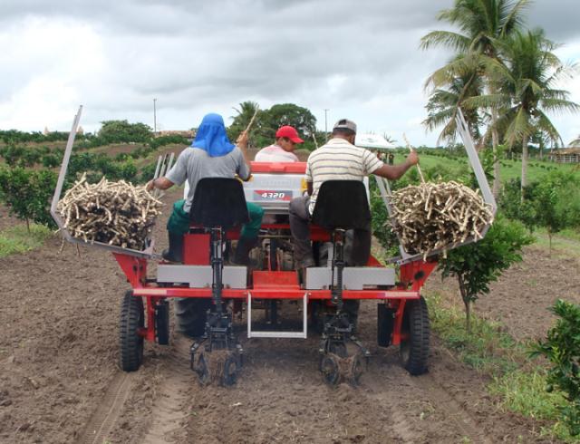 José Figueiroa/Embrapa