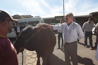 Brasil é importante player para garantir segurança alimentar mundial, diz ministro em exposição agropecuária em Goiás