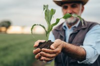 Programa de Seguro Rural apresenta novidades no Plano Safra